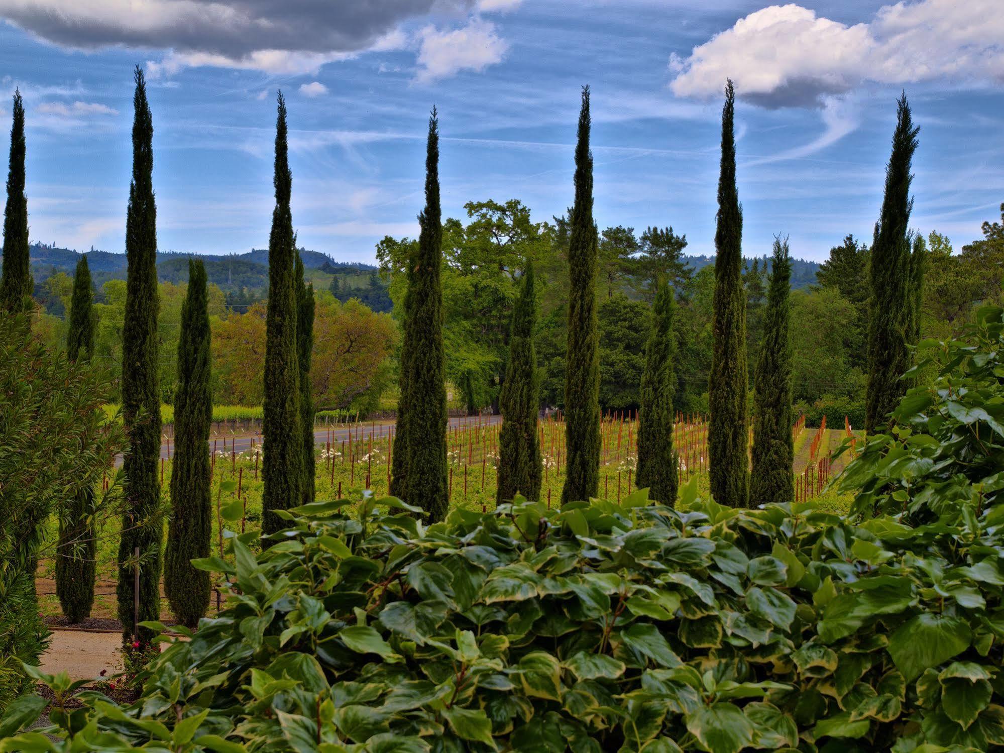 Shady Oaks Country Inn St. Helena Zewnętrze zdjęcie