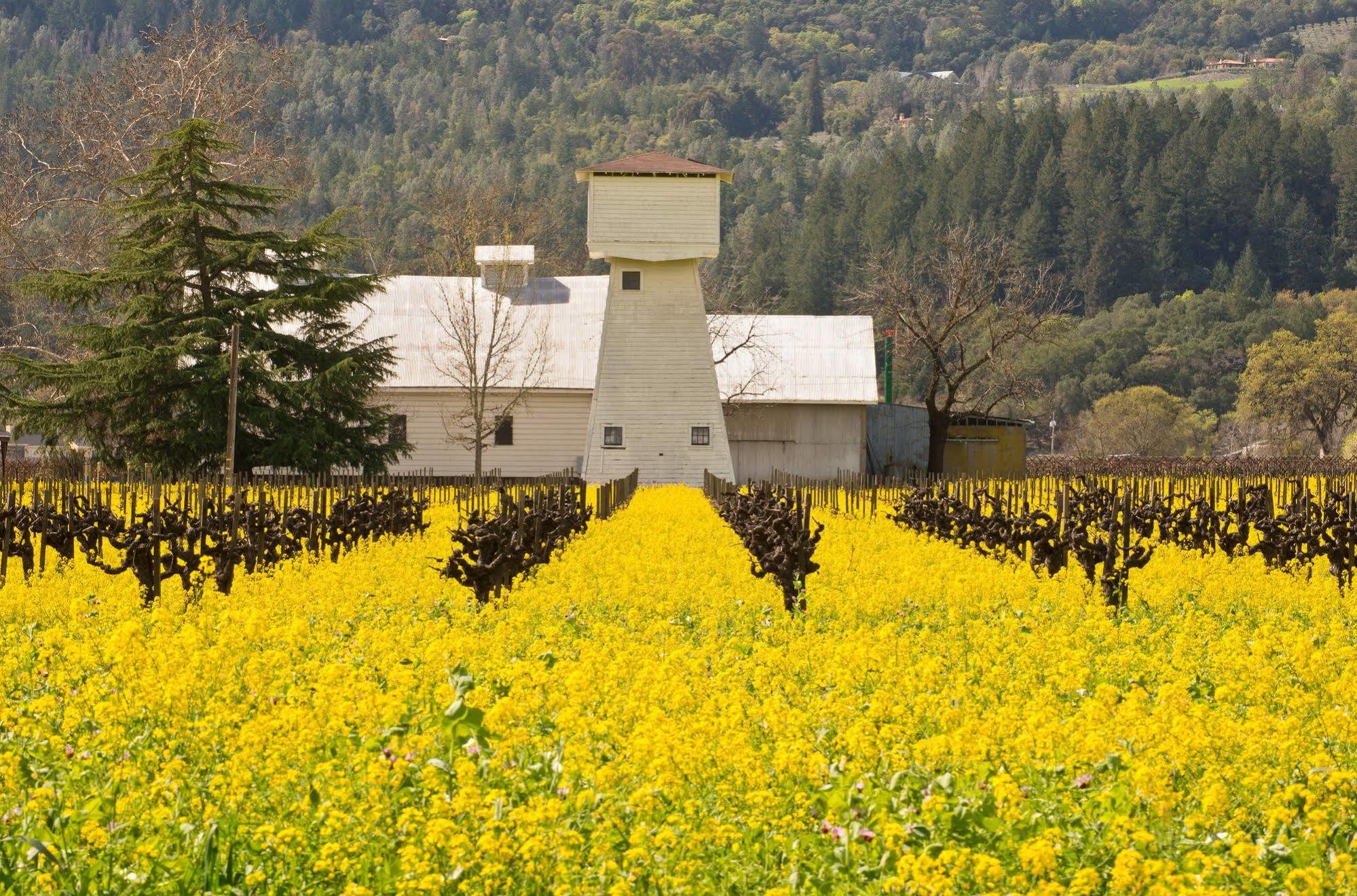Shady Oaks Country Inn St. Helena Zewnętrze zdjęcie